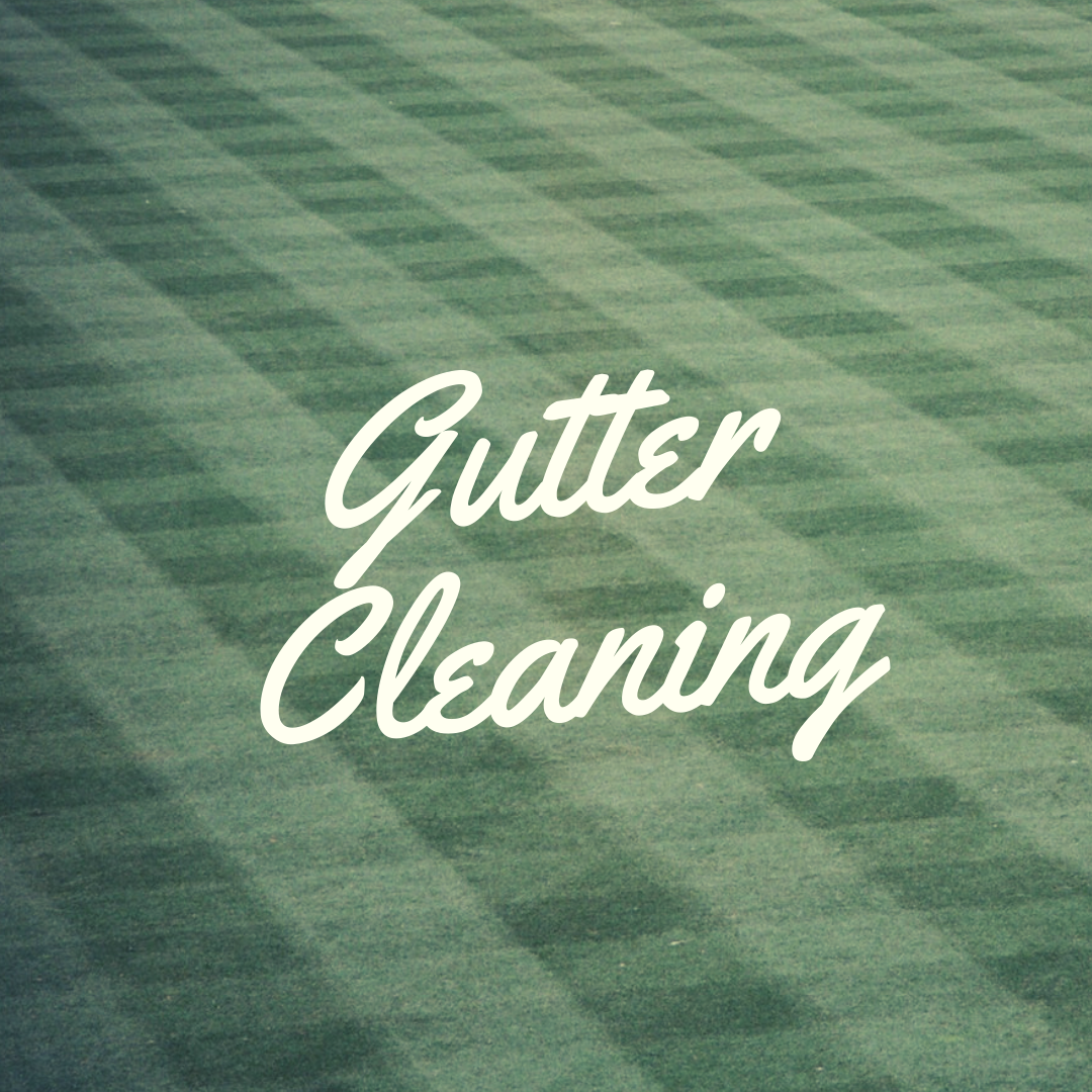 Gutter Cleaning in Plainfield