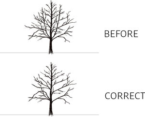 maintenance-tree-pruning-plainfield